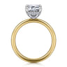 Cari - 14K White-Yellow Gold Hidden Halo Emerald Cut Diamond Engagement Ring - 0.07 ct