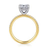 Allison - 14K Yellow-White Gold Emerald Cut Hidden Halo Diamond Engagement Ring - 0.25 ct