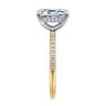 Allison - 14K Yellow-White Gold Emerald Cut Hidden Halo Diamond Engagement Ring - 0.25 ct