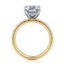 Adela - 14K White-Yellow Gold Emerald Cut Hidden Halo Diamond Engagement Ring - 0.4 ct