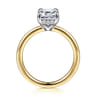 Austria - 14K White-Yellow Gold Hidden Halo Emerald Cut Diamond Engagement Ring - 0.08 ct