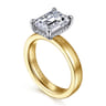 Argentina - 14K White-Yellow Gold Hidden Halo Emerald Cut Diamond Engagement Ring - 0.08 ct