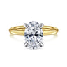 Cari - 14K White-Yellow Gold Hidden Halo Oval Diamond Engagement Ring - 0.08 ct