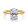 Austria - 14K White-Yellow Gold Hidden Halo Oval Diamond Engagement Ring - 0.1 ct
