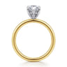 Cari - 14K White-Yellow Gold Hidden Halo Pear Shape Diamond Engagement Ring - 0.06 ct
