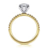 Allison - 14K White-Yellow Gold Pear Shape Hidden Halo Diamond Engagement Ring - 0.27 ct