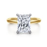 Cari - 14K White-Yellow Gold Hidden Halo Radiant Cut Diamond Engagement Ring - 0.09 ct
