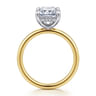 Cari - 14K White-Yellow Gold Hidden Halo Radiant Cut Diamond Engagement Ring - 0.09 ct