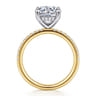 Allison - 14K White-Yellow Gold Round Hidden Halo Diamond Engagement Ring - 0.25 ct