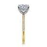 Allison - 14K White-Yellow Gold Round Hidden Halo Diamond Engagement Ring - 0.25 ct