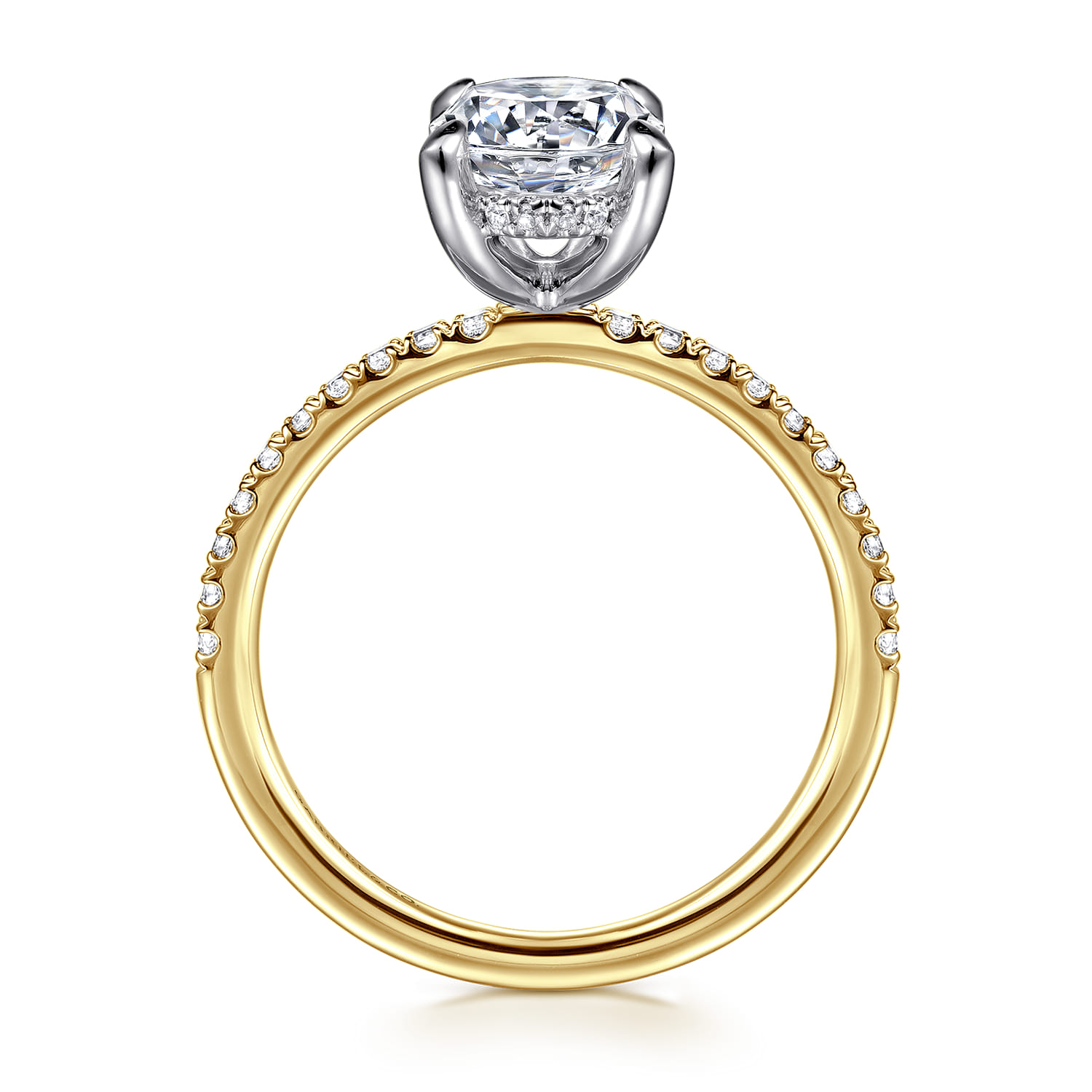 Allison - 14K White-Yellow Gold Round Hidden Halo Diamond and Engagement Ring - 0.25 ct - Shot 2