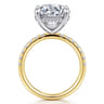 Adela - 14K Yellow-White Gold Round Hidden Halo Diamond Engagement Ring - 0.5 ct