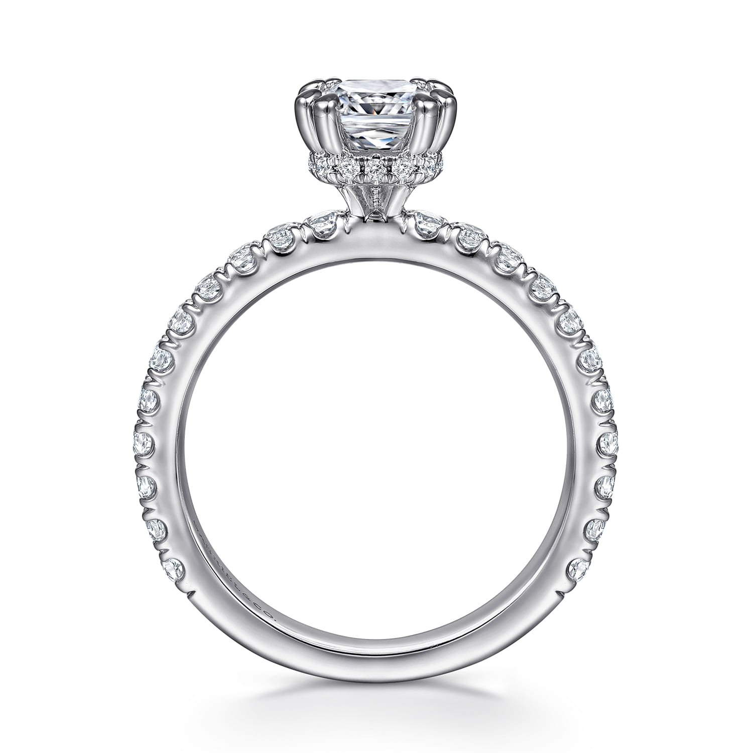 Alina - Platinum Hidden Halo Diamond Engagement Ring - 0.5 ct - Shot 2
