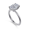 Cari - Platinum Hidden Halo Oval Diamond Engagement Ring - 0.05 ct