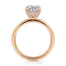 Daniele - 14K Rose Gold Round Solitaire Diamond Engagement Ring - 0.14 ct