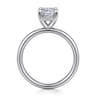 Peace - 14K White Gold Elongated Cushion Diamond Engagement Ring - 0.08 ct