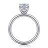 Lark - 14K White Gold Elongated Cushion Solitaire Engagement Ring