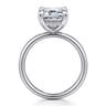 Peace - 14K White Gold Emerald Cut Diamond Engagement Ring - 0.1 ct