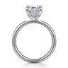 Peace - 14K White Gold Emerald Cut Diamond Engagement Ring - 0.07 ct