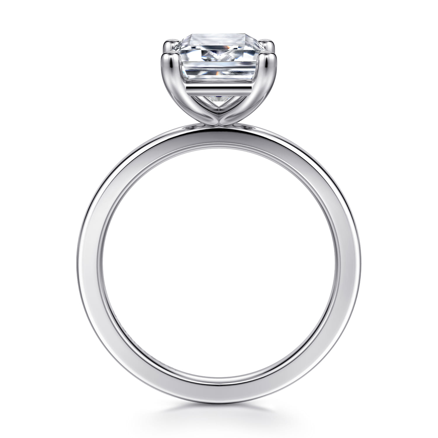 Paula - 14K White Gold Emerald Cut Diamond Engagement Ring - Shot 2