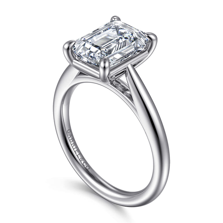 Bambi - 14K White Gold Emerald Cut Diamond Engagement Ring - Shot 3