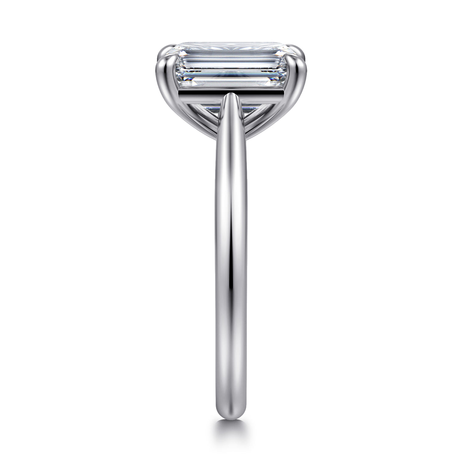 Bambi - 14K White Gold Emerald Cut Diamond Engagement Ring - Shot 4