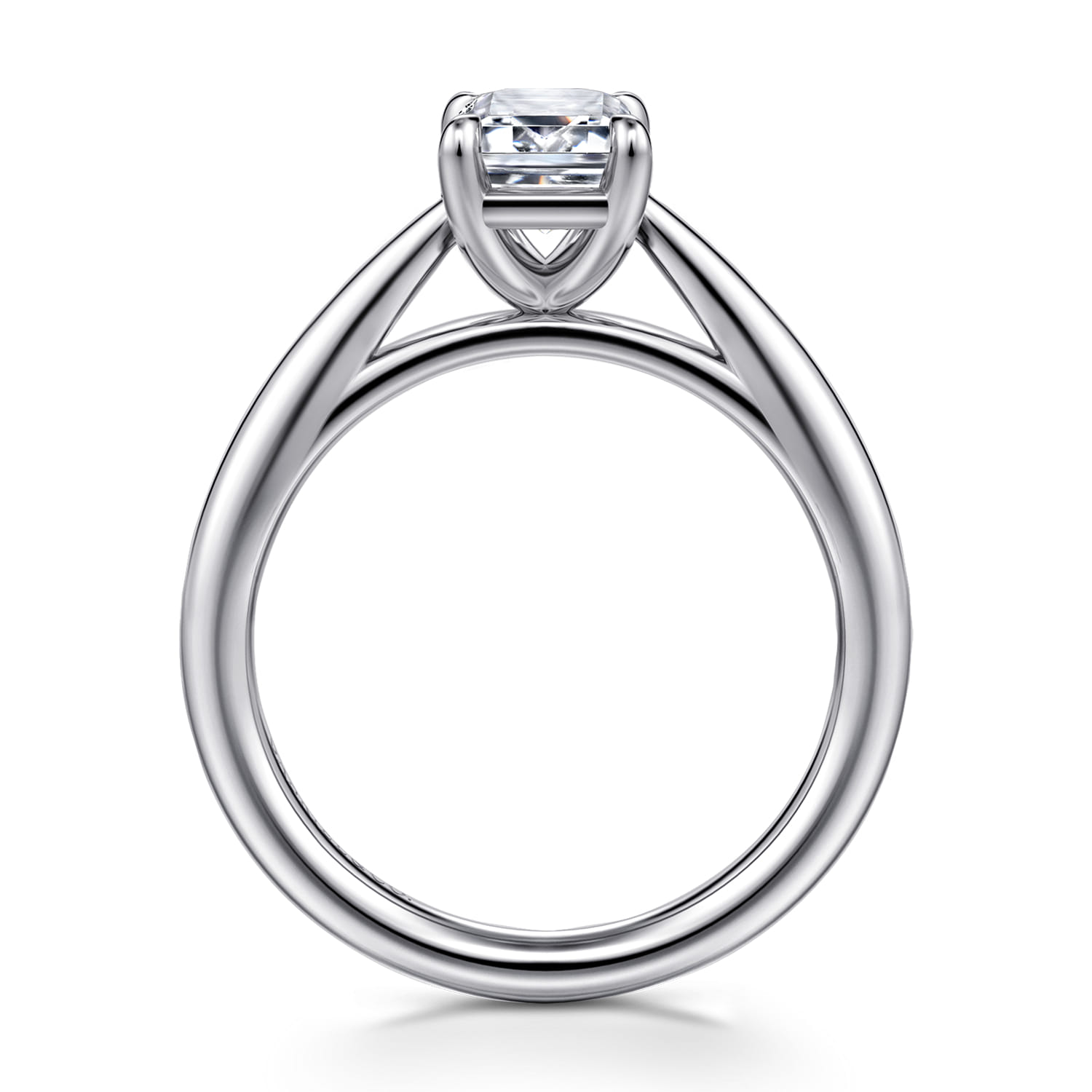Bambi - 14K White Gold Emerald Cut Diamond Engagement Ring - Shot 2