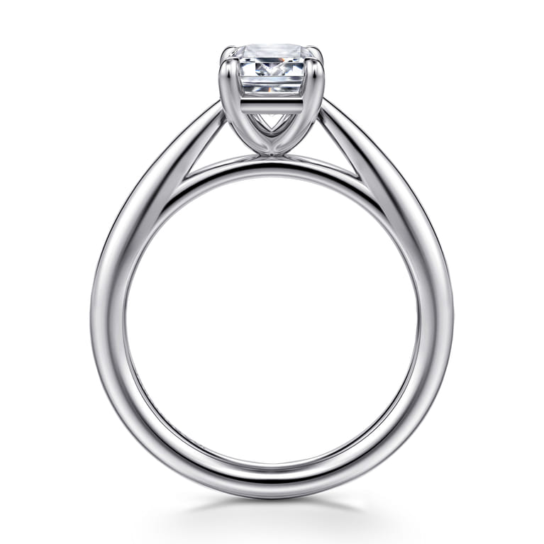 Bambi - 14K White Gold Emerald Cut Diamond Engagement Ring - Shot 2