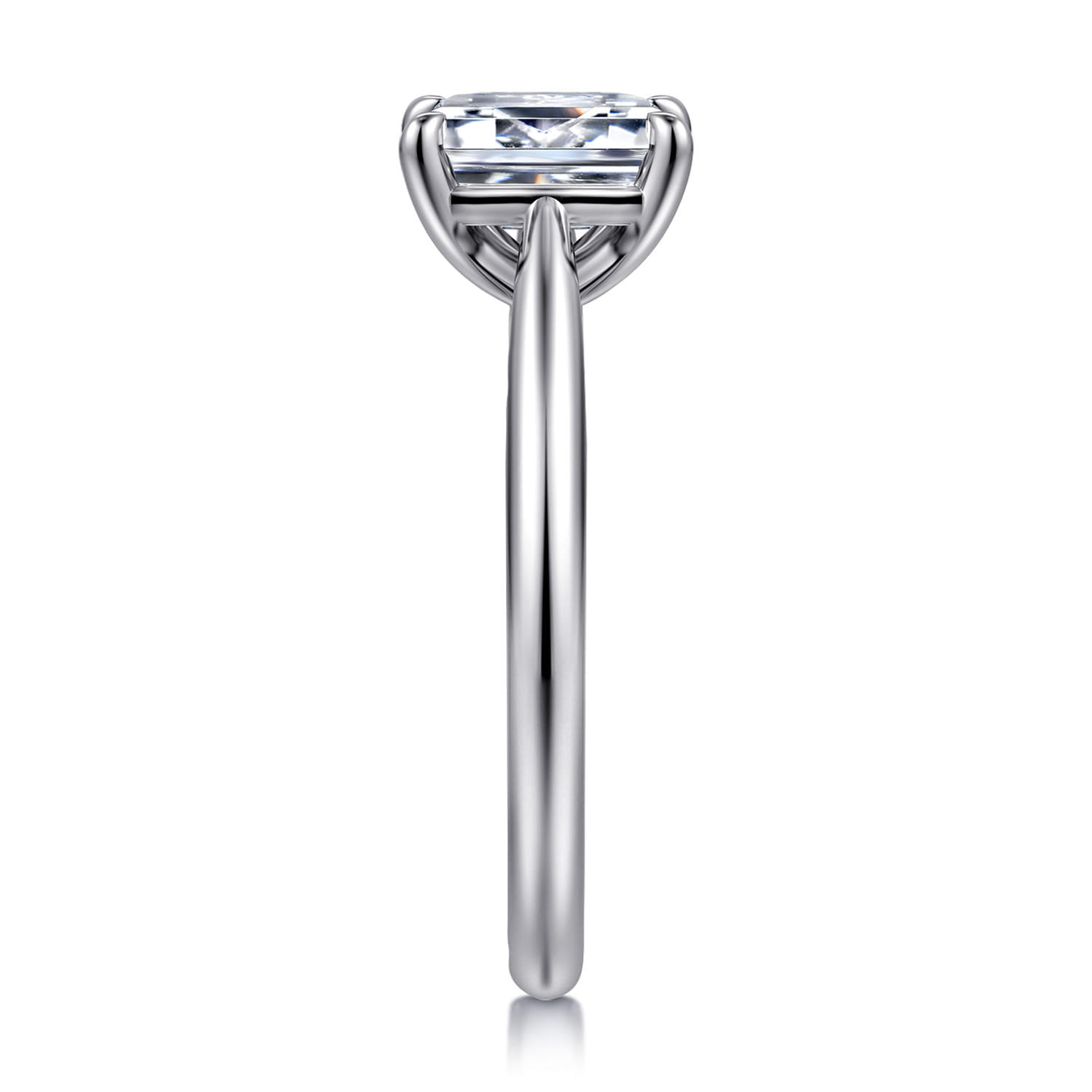 Bambi - 14K White Gold Emerald Cut Diamond Engagement Ring - Shot 4