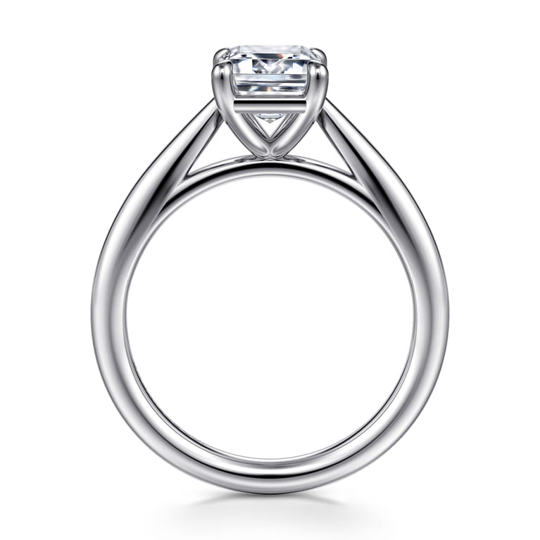 Bambi - 14K White Gold Emerald Cut Diamond Engagement Ring - Shot 2