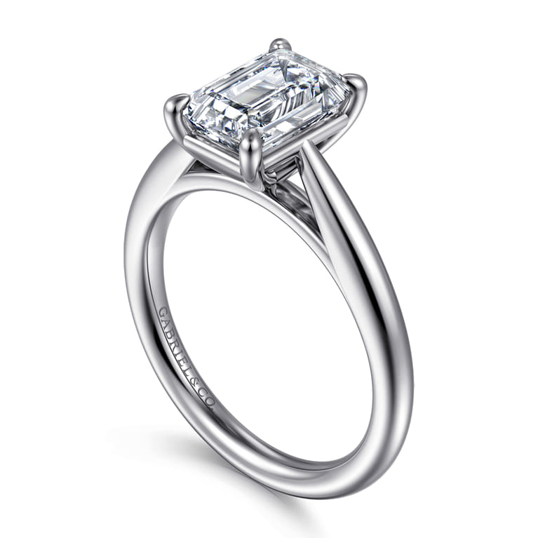 Bambi - 14K White Gold Emerald Cut Diamond Engagement Ring - Shot 3