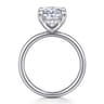 Peace - 14K White Gold Oval Diamond Engagement Ring - 0.1 ct