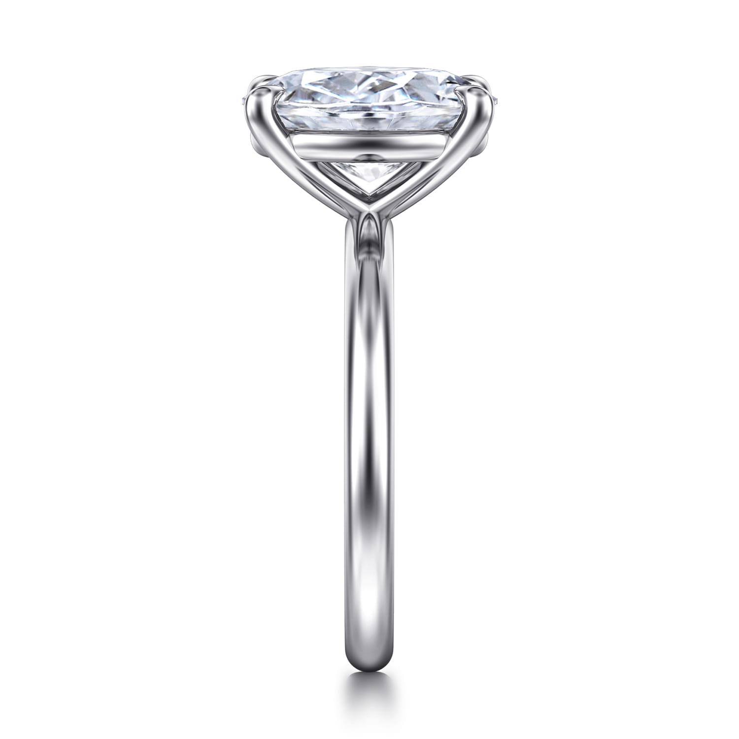 Lark - 14K White Gold Oval Solitaire Engagement Ring - Shot 5