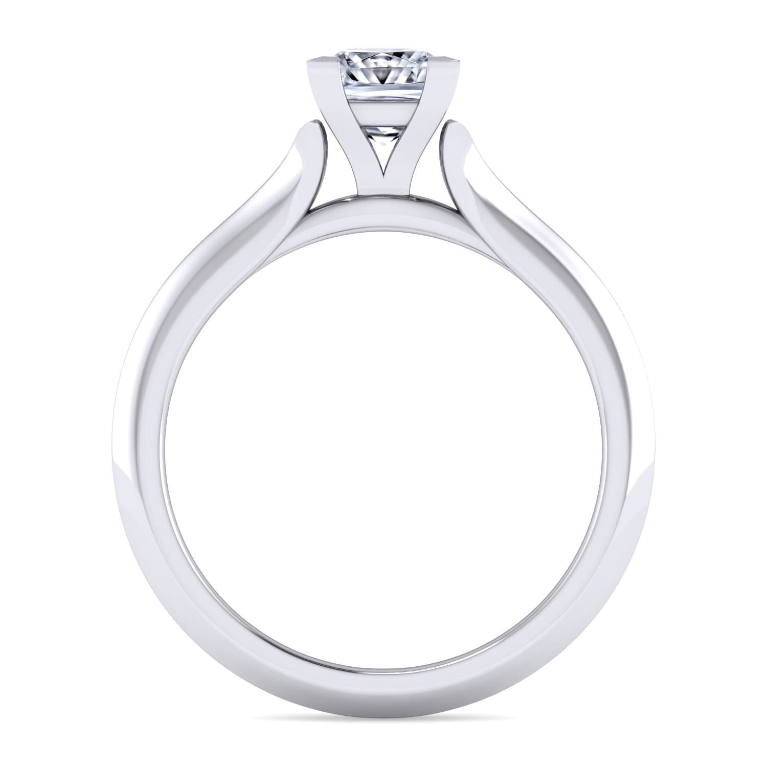 Ellis - 14K White Gold Princess Cut Diamond Engagement Ring - Shot 2
