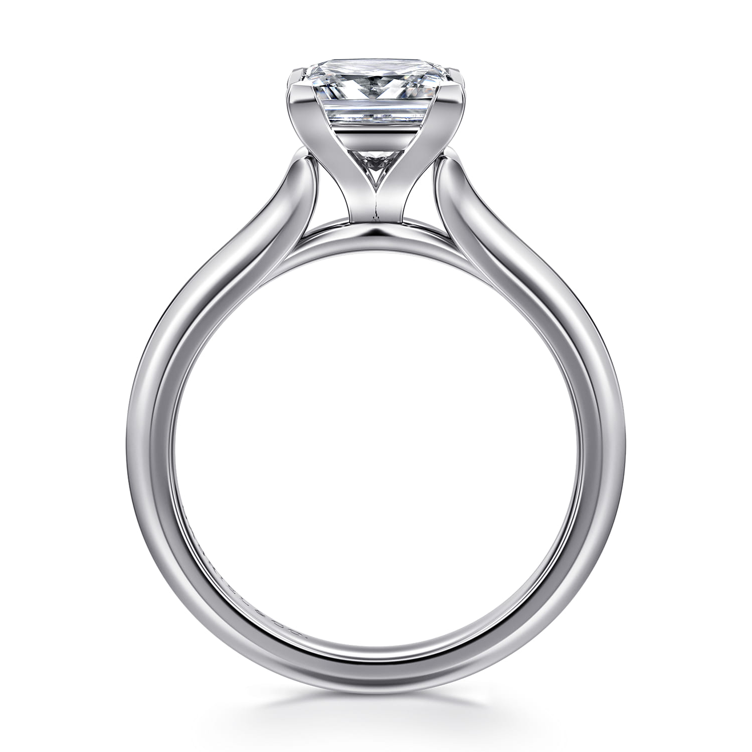 Ellis - 14K White Gold Princess Cut Diamond Engagement Ring - Shot 2