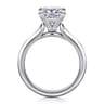Ellis - 14K White Gold Princess Cut Diamond Engagement Ring