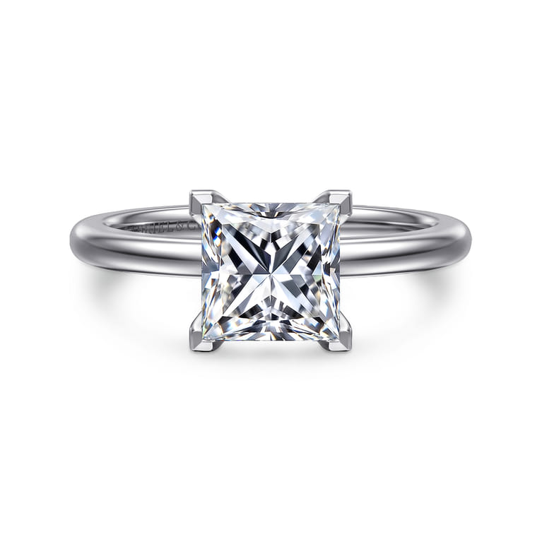 Ali - 14K White Gold Princess Cut Diamond Engagement Ring - Shot 1