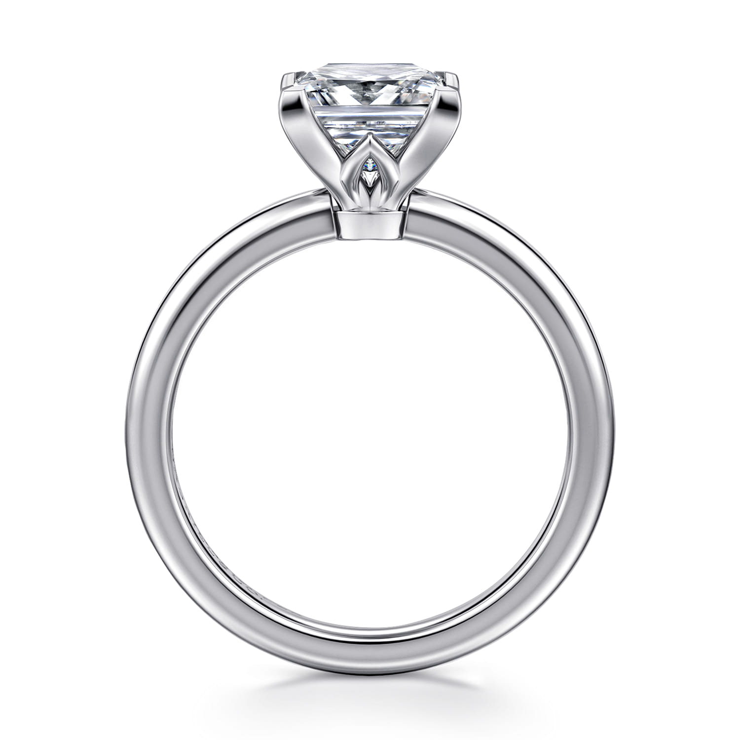 Ali - 14K White Gold Princess Cut Diamond Engagement Ring - Shot 2