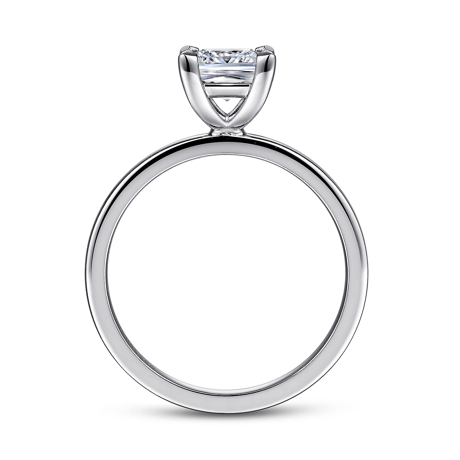 Paula - 14K White Gold Princess Cut Diamond Engagement Ring - Shot 2