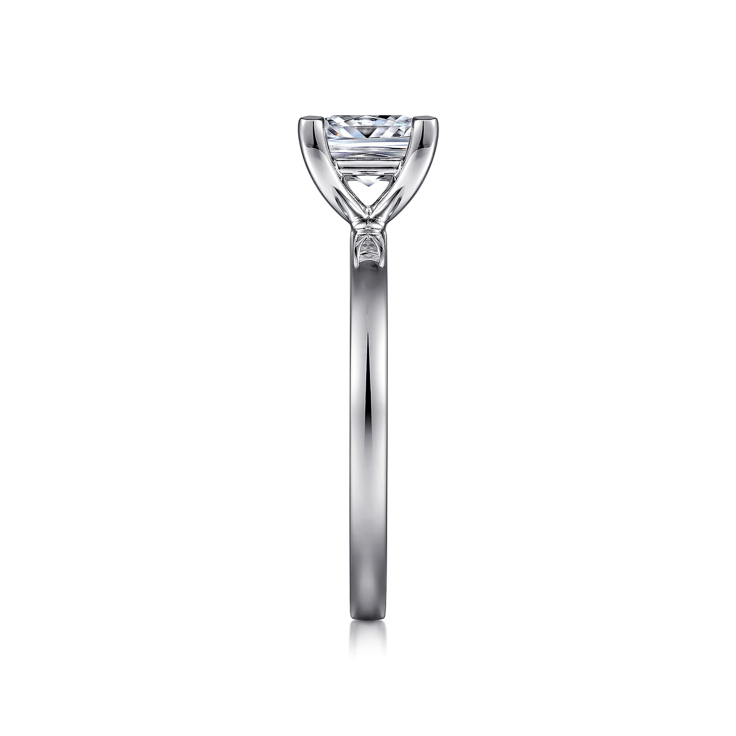 Paula - 14K White Gold Princess Cut Diamond Engagement Ring - Shot 5