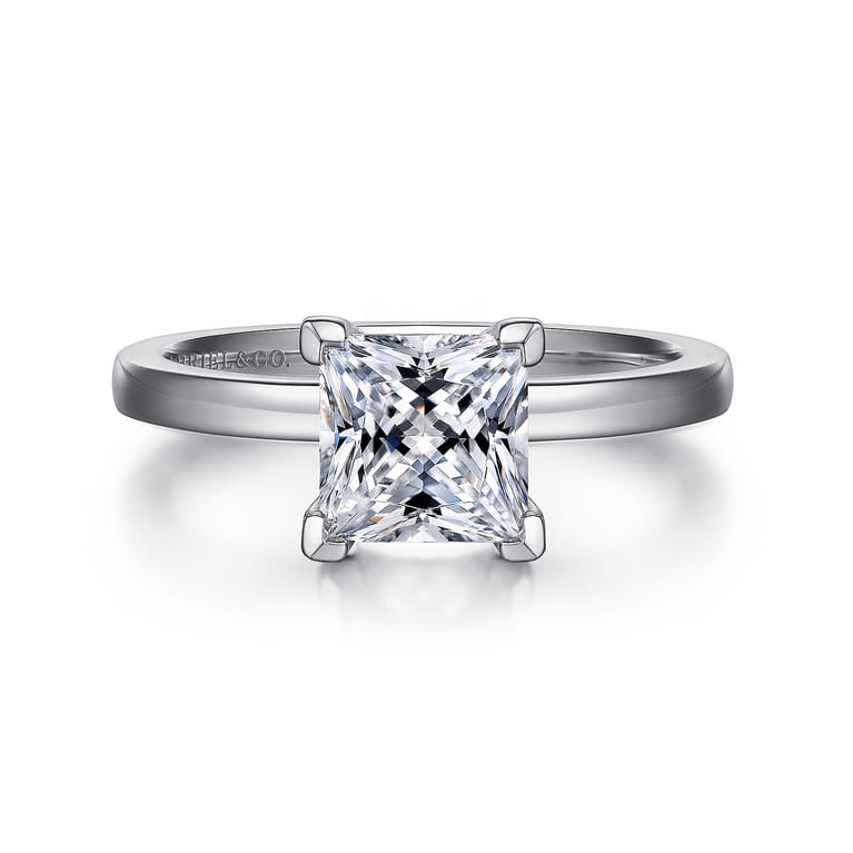 Paula - 14K White Gold Princess Cut Diamond Engagement Ring - Shot 1