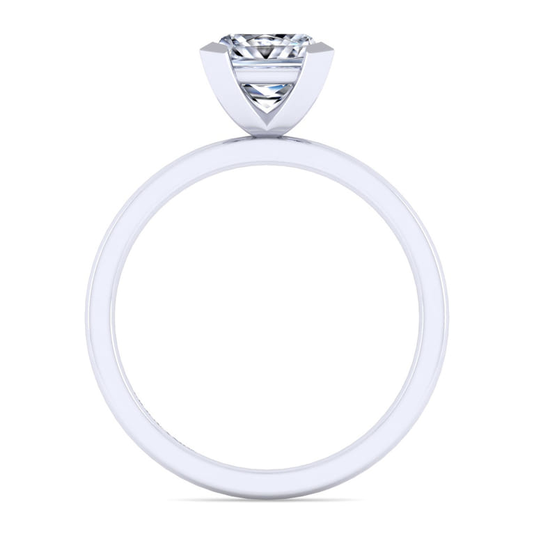 Paula - 14K White Gold Princess Cut Diamond Engagement Ring - Shot 2