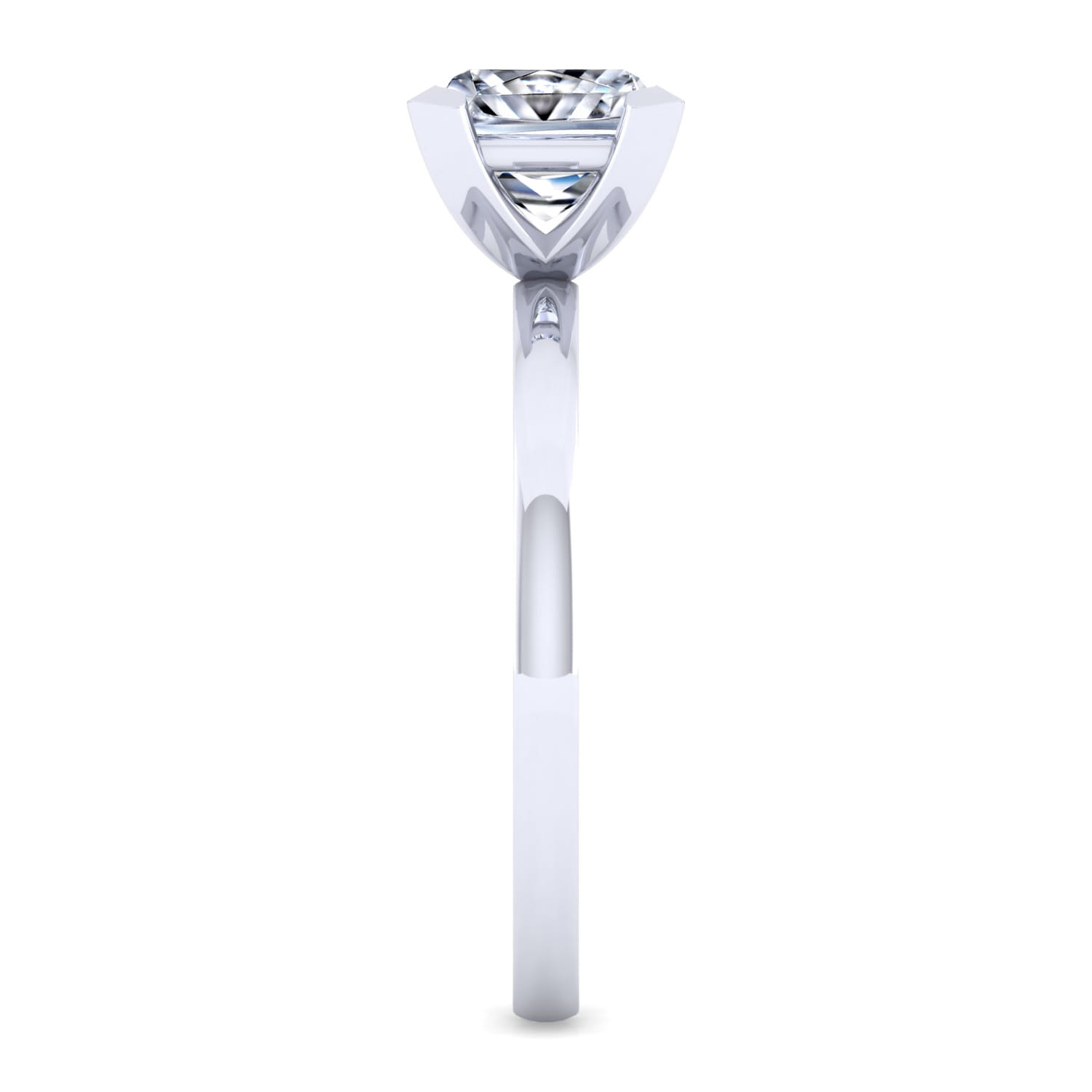 Paula - 14K White Gold Princess Cut Diamond Engagement Ring - Shot 5