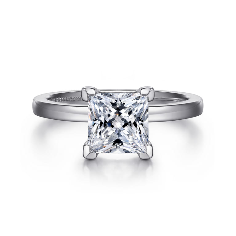 Paula - 14K White Gold Princess Cut Diamond Engagement Ring - Shot 1