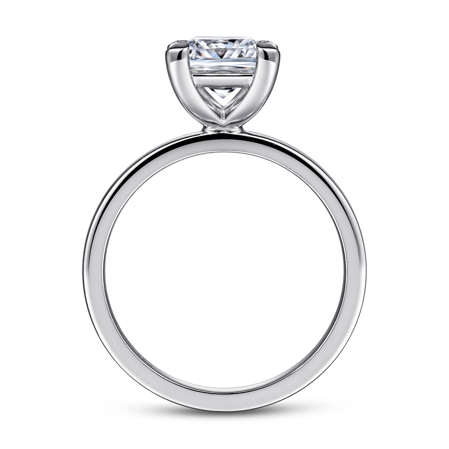 Paula - 14K White Gold Princess Cut Diamond Engagement Ring - Shot 2