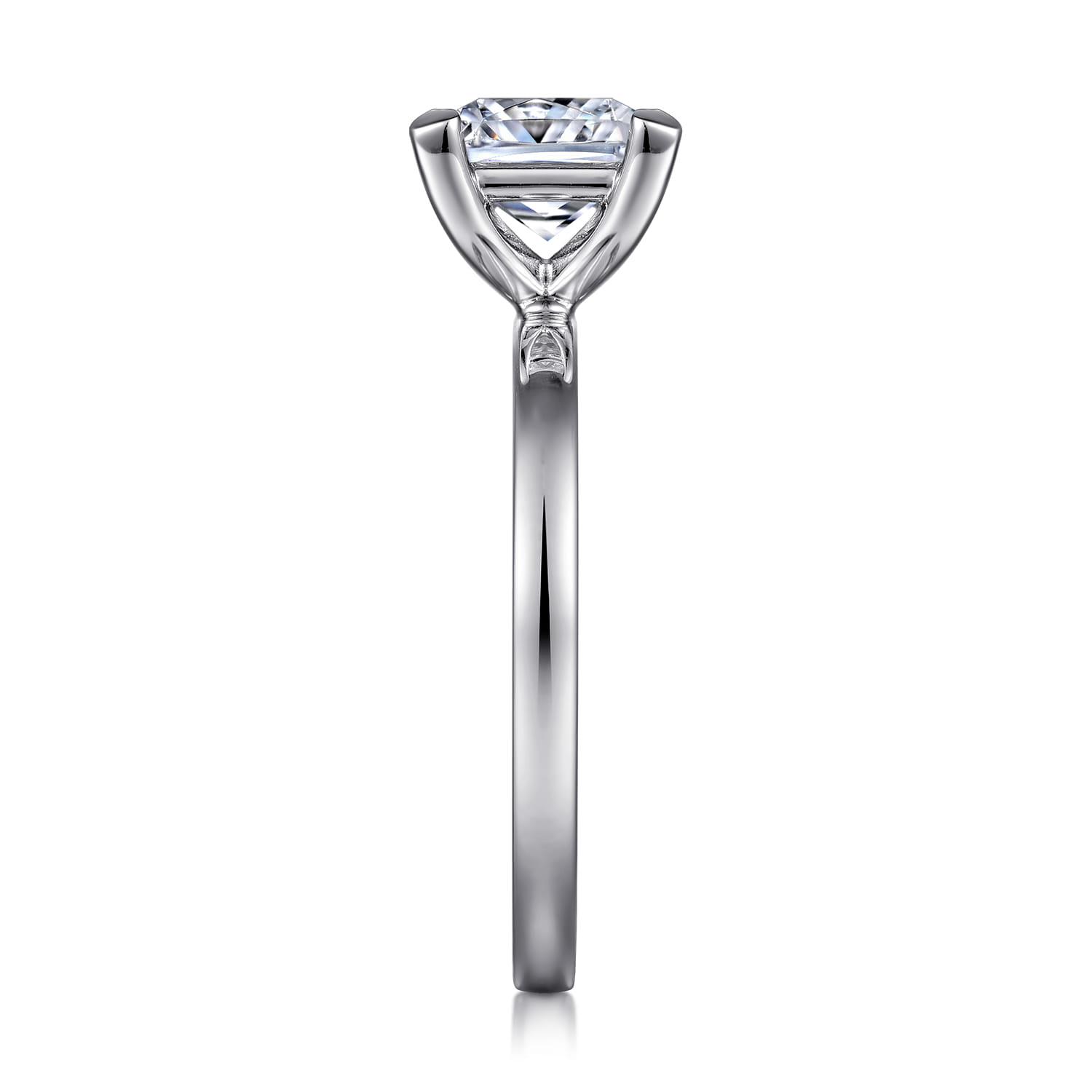 Paula - 14K White Gold Princess Cut Diamond Engagement Ring - Shot 5