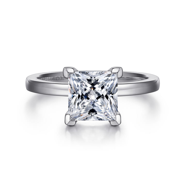 Paula - 14K White Gold Princess Cut Diamond Engagement Ring - Shot 1