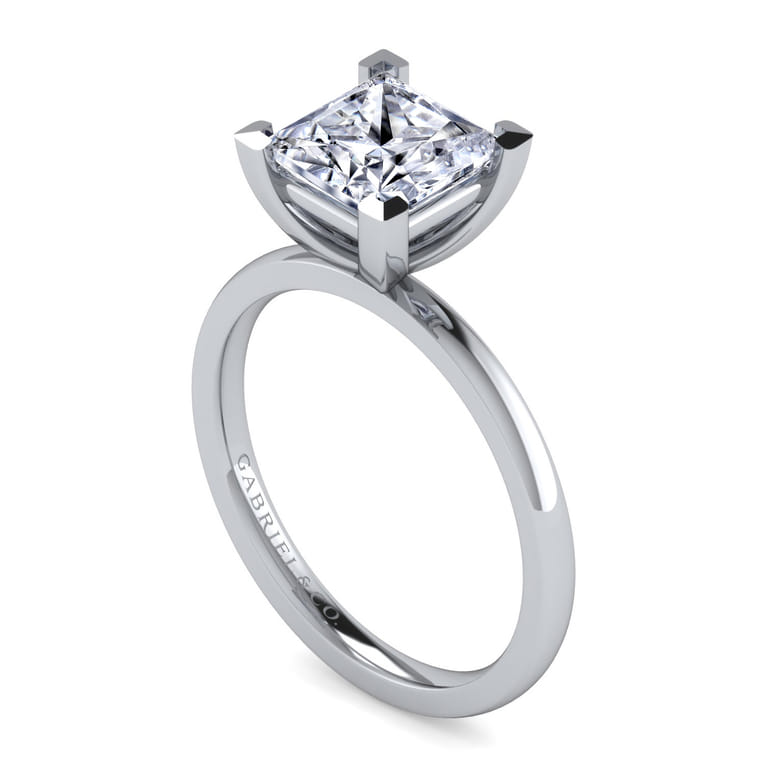 Paula - 14K White Gold Princess Cut Diamond Engagement Ring - Shot 3