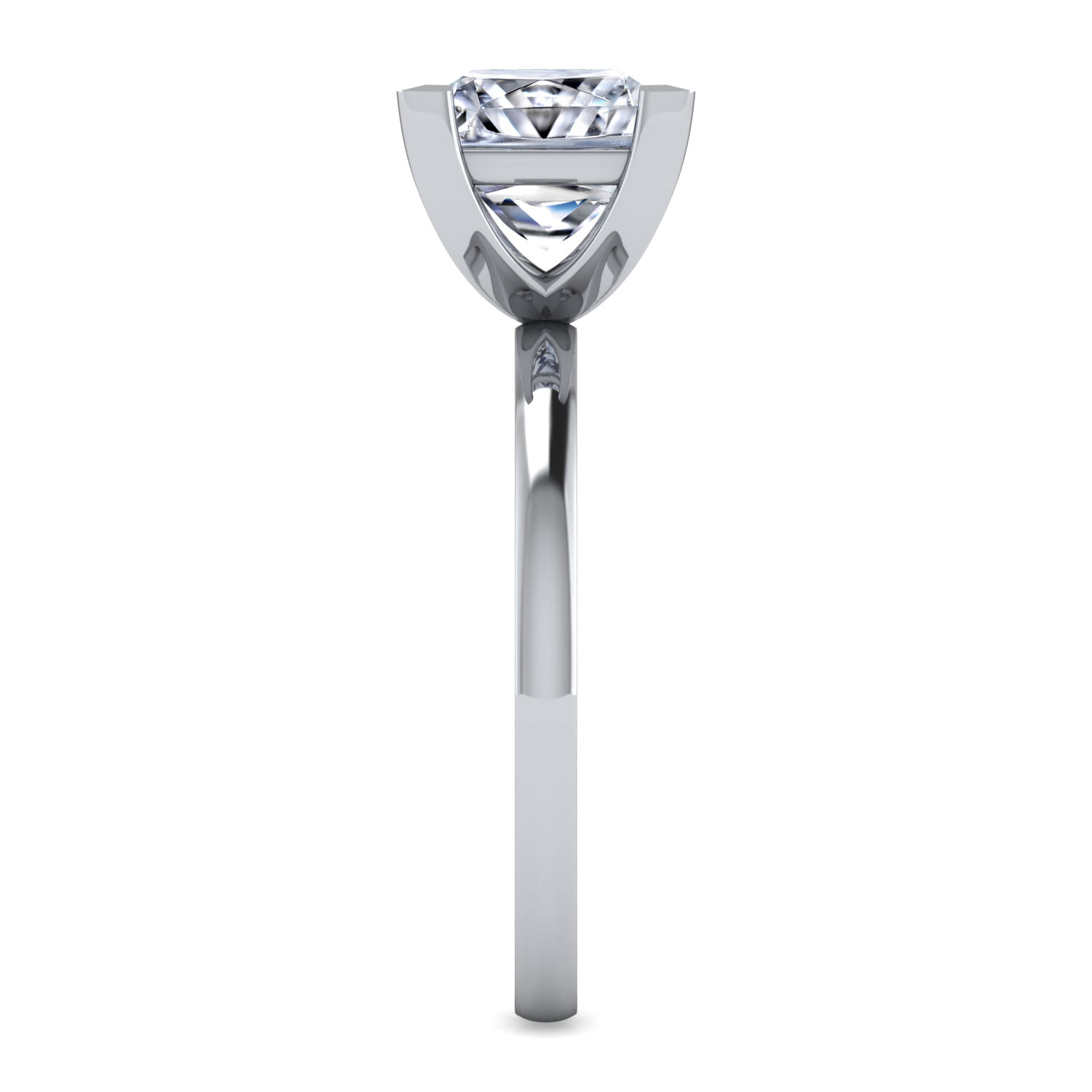 Paula - 14K White Gold Princess Cut Diamond Engagement Ring - Shot 5