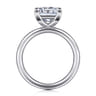 Lark - 14K White Gold Princess Cut Solitaire Engagement Ring